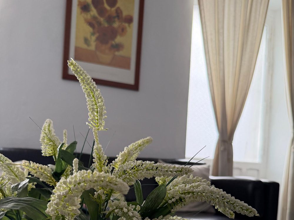 Rincón acogedor de la consulta con flores y decoración cálida